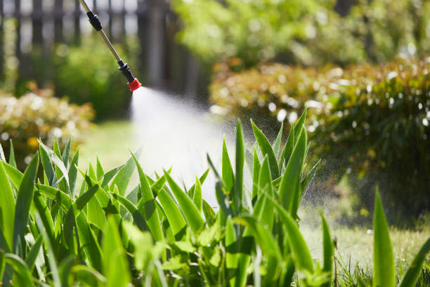 Tamper-Resistant Bait Stations for Rodents in Richwood