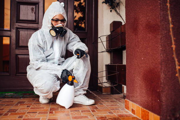Attic and Crawl Space Rodent Treatment in Richwood