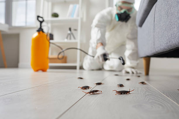 Commercial Rodent Management in Richwood
